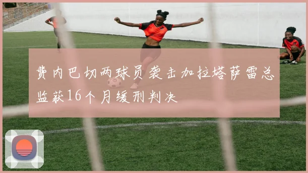 费内巴切两球员袭击加拉塔萨雷总监获16个月缓刑判决